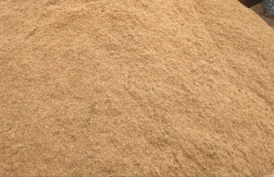 River Sand Rough